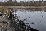 Красный Бор