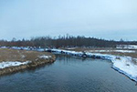 Гибель рыбы в Ижоре