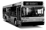 Новый автобус в Колпино